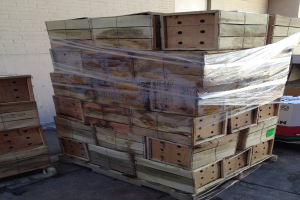 HPE präsentiert Hilfestellung zur Umsetzung von PPWR für Holzverpackungsunternehmen