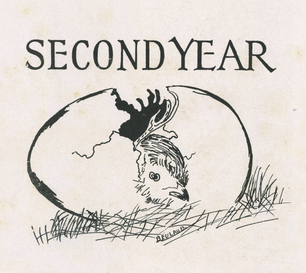 Ein Buchumschlag mit einer realistischen Zeichnung eines Vogels mit weiten, aufmerksamen Augen und ausgebreiteten Flügeln, mit der Aufschrift "Zweites Jahr" in fetter Schrift.