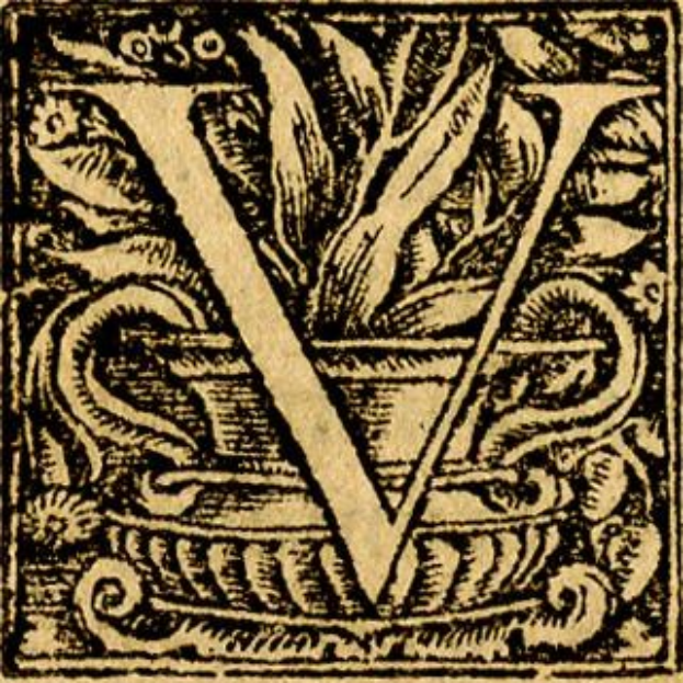 Schwarze und weiße Gravur des Großbuchstabens V mit einem dekorativen Rahmen.