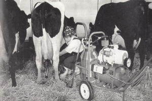 Ein Schwarz-Weiß-Foto einer Frau, die eine Kuh auf einem Hof melkt, mit einer Maschine mit Rädern in der Nähe und einer Wand im Hintergrund.