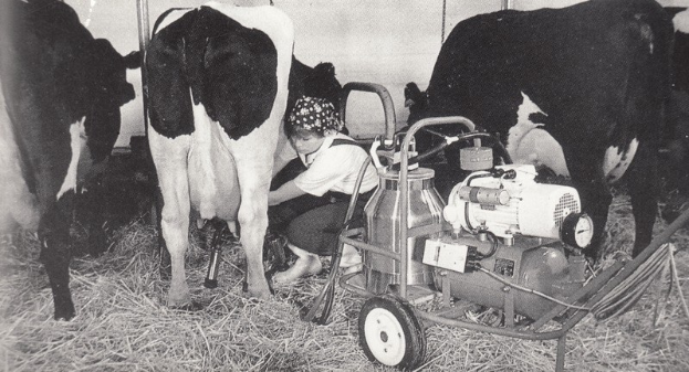 Ein Schwarz-Weiß-Foto einer Frau, die eine Kuh auf einem Hof melkt, mit einer Maschine mit Rädern in der Nähe und einer Wand im Hintergrund.