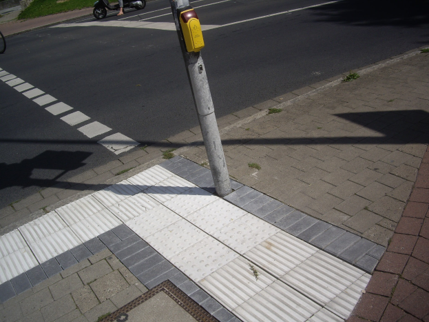Eine Person, die auf einem Skateboard auf einer Straße neben einem Gehweg fährt, mit einem Pfahl in der Mitte der Straße, einem Fahrrad auf dem Gehweg geparkt und Gebäuden, Bäumen und Gras im Hintergrund.