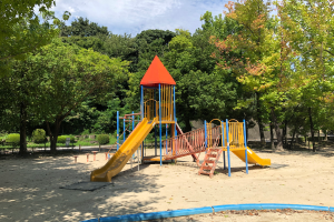 Ein Spielplatz mit einer gelben und blauen Rutsche in einem Park, umgeben von Bäumen, Pflanzen und einem Zaun, mit einem bewölkten Himmel und sandigem Boden.