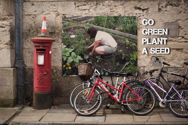 Fahrräder mit einer Briefkasten mit einer Sicherheitstonne darauf, ein Plakat an einer Wand mit Text und ein Weg am Boden.