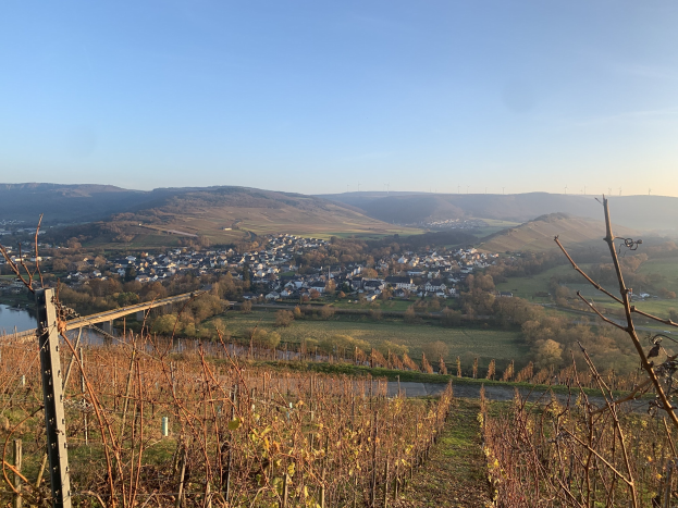 Ein malerischer Ausblick auf das Rheintal von einem Hügel aus, mit grünen Blättern, Häusern und einer Brücke, die den Fluss überspannt, vor einem blauen Himmel und welligen Hügeln.