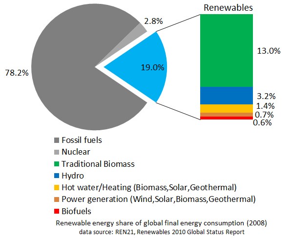 Tortendiagramm, das den globalen Verbrauch an erneuerbaren Energien im Jahr 2008 zeigt, unterteilt in Abschnitte für fossile Brennstoffe, Kernenergie, Wasserkraft, Warmwasserheizung, Biomasse, Solarenergie, Geothermie und Biokraftstoffe.