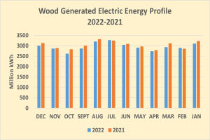 Liniengraph, der den Holz-generierten elektrischen Energieausstoß von 2021 bis 2022 zeigt, mit begleitendem erklärendem Text.