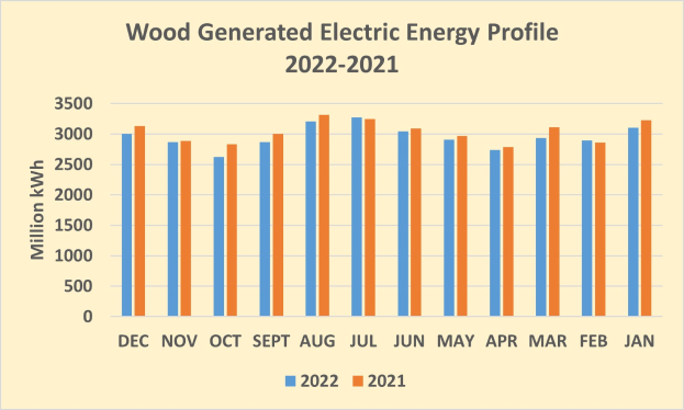 Liniengraph, der den Holz-generierten elektrischen Energieausstoß von 2021 bis 2022 zeigt, mit begleitendem erklärendem Text.