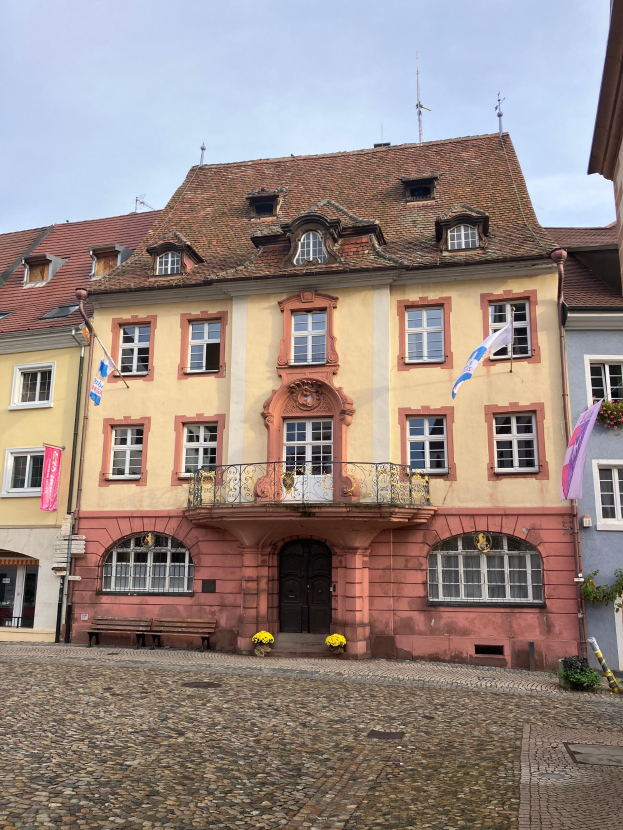Eine Menge los auf der Clôther Mühle        Mühle, Störche und Blues