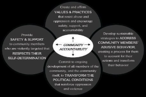 Ein Diagramm mit der Überschrift "Gemeinschaftliche Rechenschaft" und einem zentralen Kreis, der durch Pfeile mit drei überlappenden Kreisen verbunden ist, alles in starken, leuchtenden Farben.