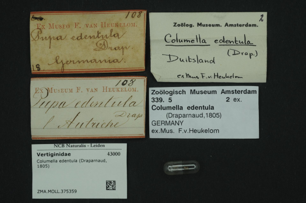 Eine Sammlung alter Visitenkarten mit Texten zum Thema Kolumella edentula, ein näherlands Medikament, neben einem kleinen Papier mit einem Barcode.