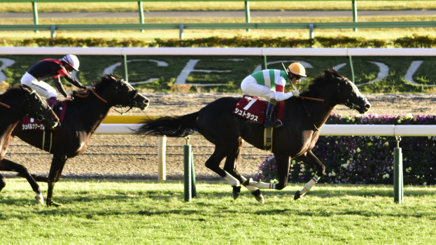 Zwei Jockeys in Helmen auf Pferden auf einer Strecke mit Grünzeug, einem Geländer und einer Tafel im Hintergrund