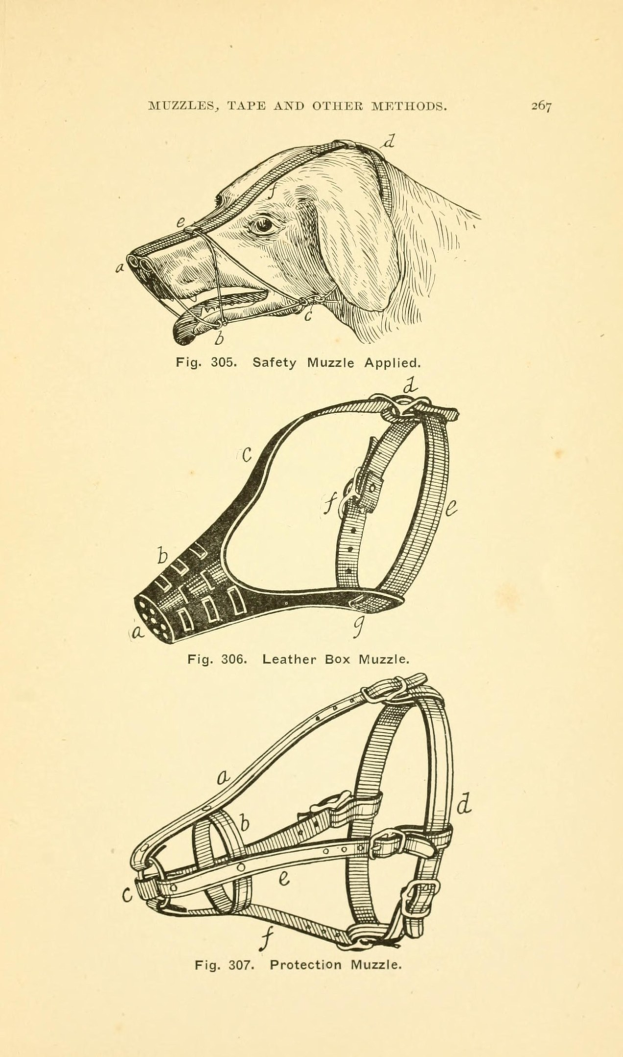 Eine Zeichnung eines Hundes mit einem Maulkorb auf Papier, begleitet von Bildern und Text, der die Maulkorbmerkmale beschreibt.