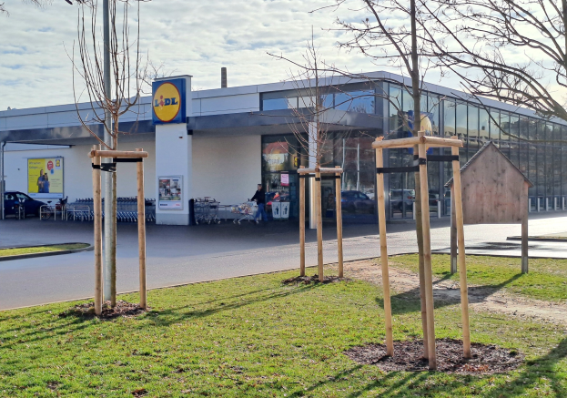 Außenansicht eines Lidl-Geschäfts mit einem Spielplatz, Gras, Bäumen, einer Straße, Fußgängern, bewölktem Himmel und Werbetafeln am Gebäude.