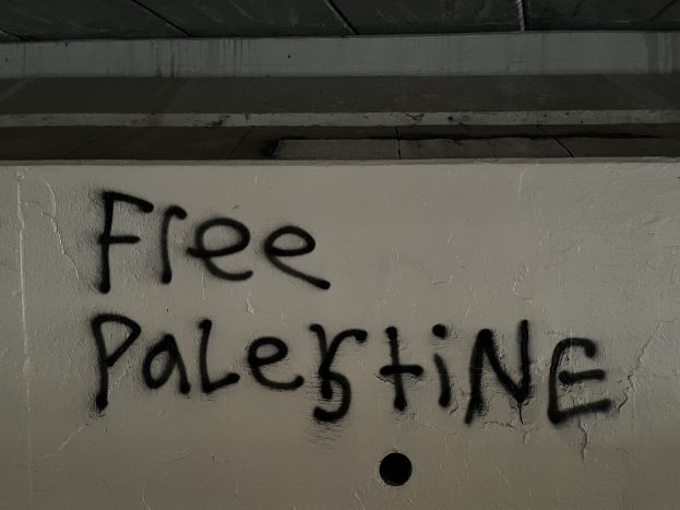 Schwarze Graffiti-Schrift 'free palestine' auf einer Wand, von oben beleuchtet.