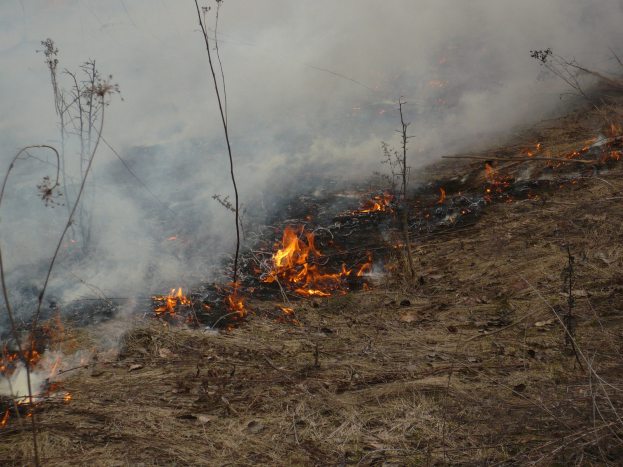 Verschriebener Brand in einem Grasfeld mit Rauch, der in den Himmel steigt.